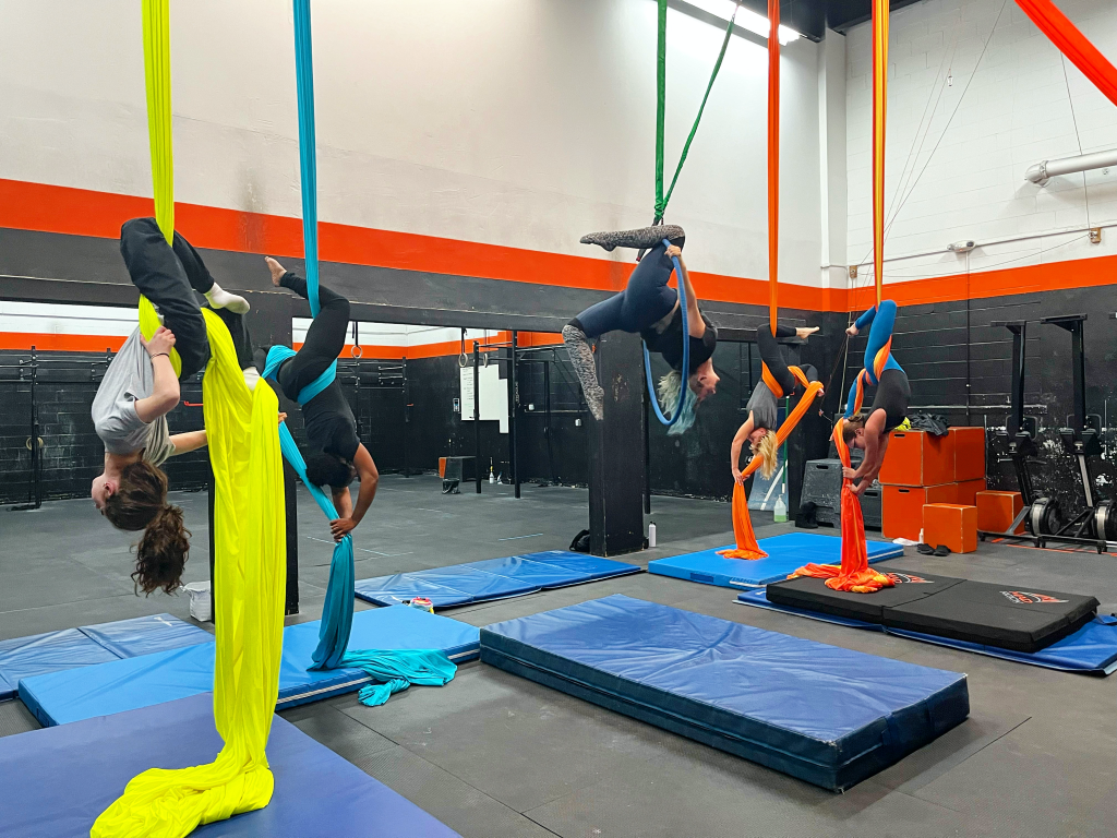 Studio Class Double Stag Photo